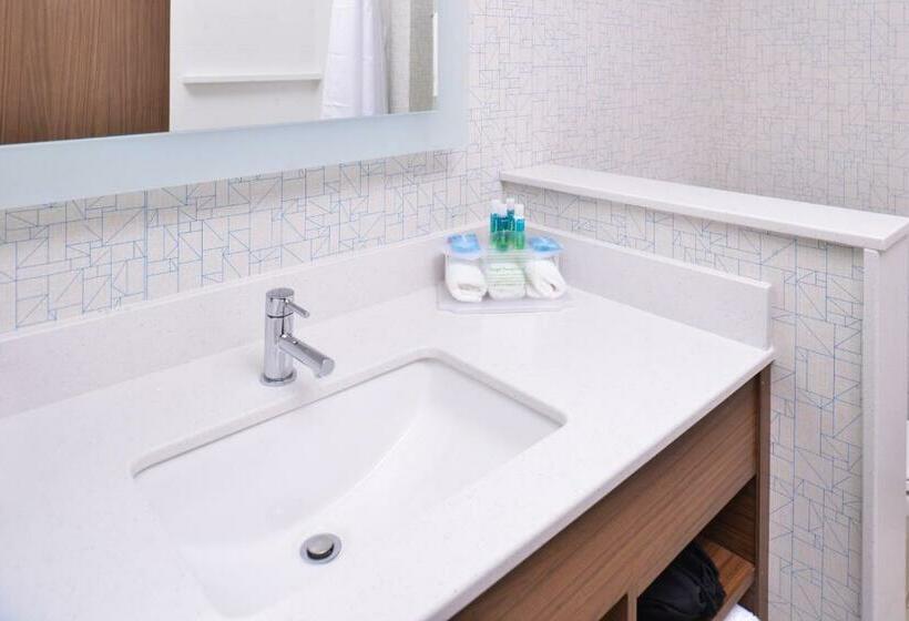 Стандартный Номер Кровать Кинг, Holiday Inn Express & Suites Omaha Airport, An Ihg