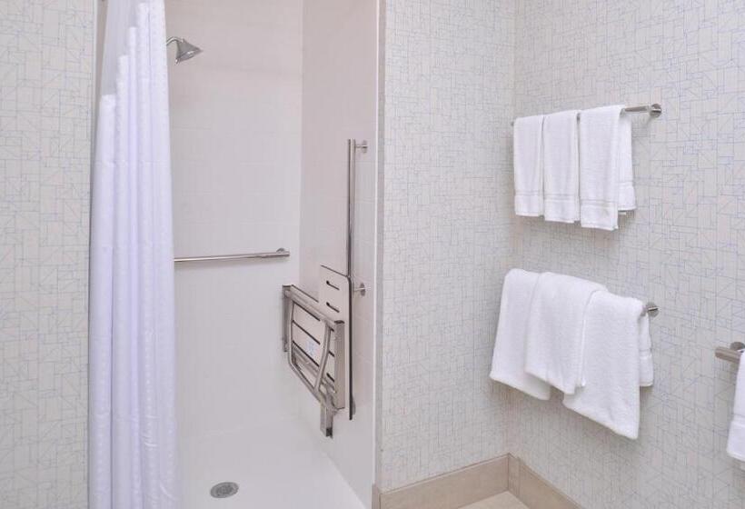 Люкс Адаптированный для Инвалидов, Holiday Inn Express & Suites Omaha Airport, An Ihg