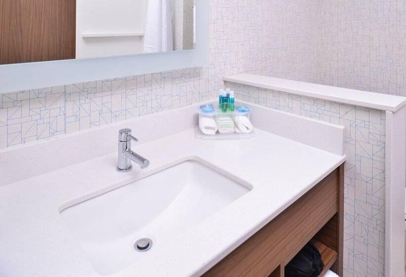 Люкс Адаптированный для Инвалидов, Holiday Inn Express & Suites Omaha Airport, An Ihg