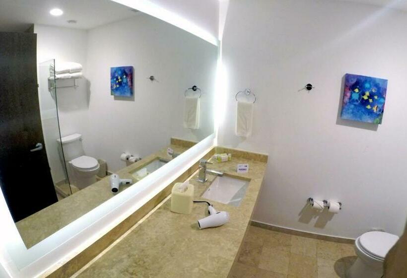 スイート, Holiday Inn Resort Mazatlan By Ihg