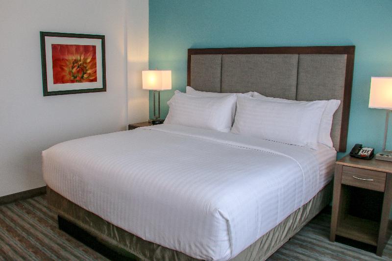 스탠다드 룸 킹사이즈 침대, Holiday Inn & Suites Denver Tech Center Centennial, An Ihg