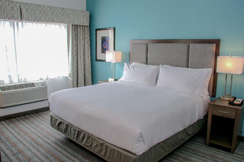 스탠다드 룸 킹사이즈 침대, Holiday Inn & Suites Denver Tech Center Centennial, An Ihg