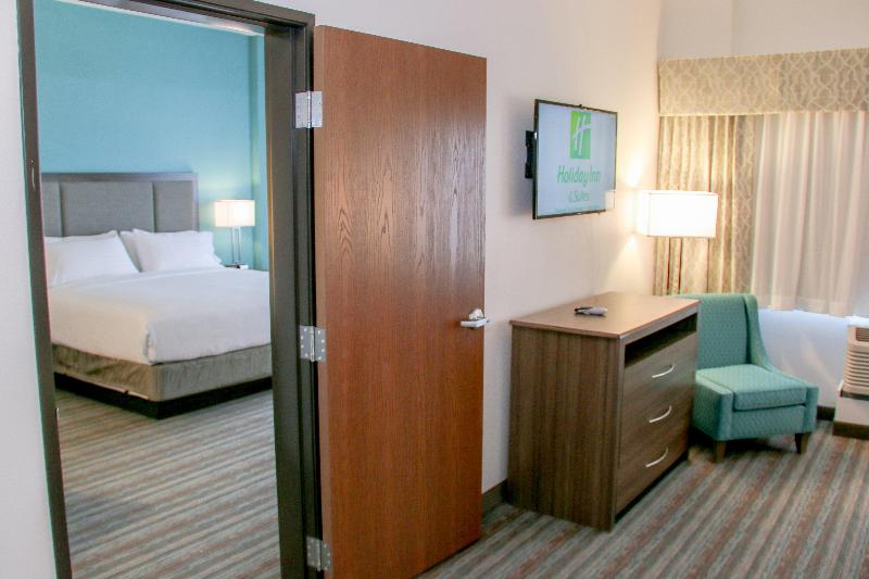 이그제큐티브 스위트, Holiday Inn & Suites Denver Tech Center Centennial, An Ihg