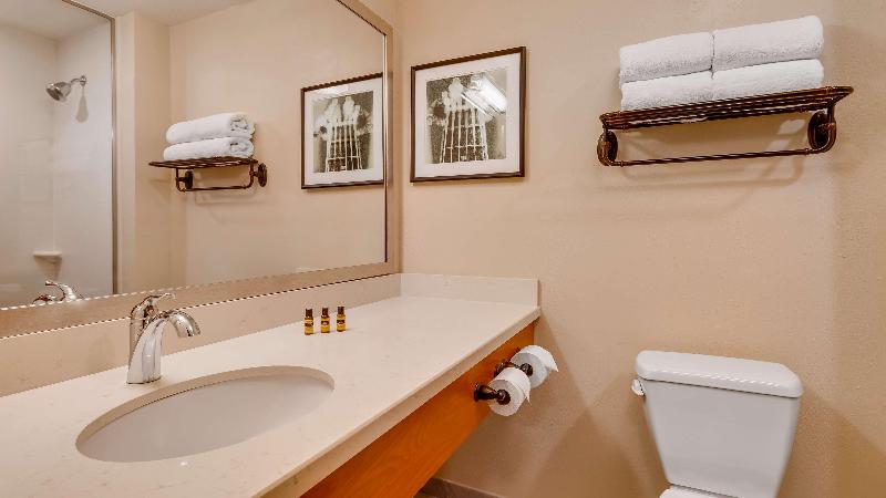 Люкс Адаптированный для Инвалидов, Holiday Inn & Suites Denver Tech Center Centennial, An Ihg