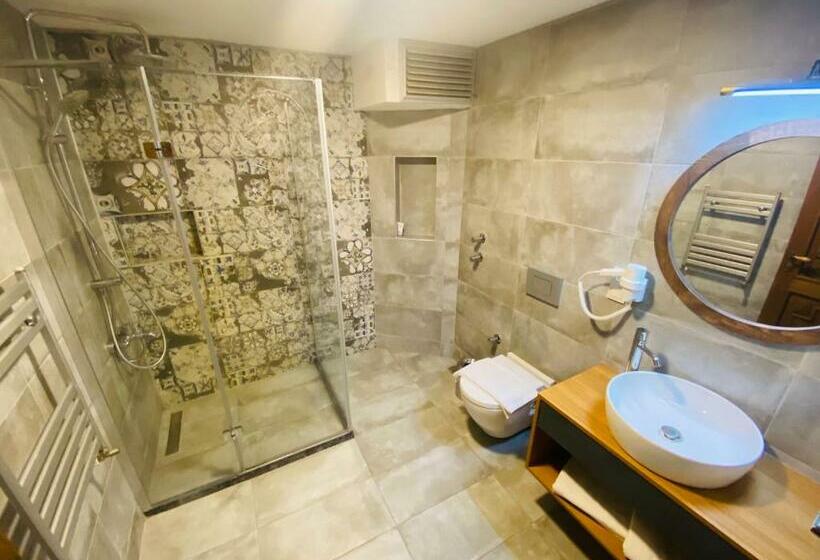 Номер Deluxe Вид на Сад, In Ephesus Hotel And Art Galery
