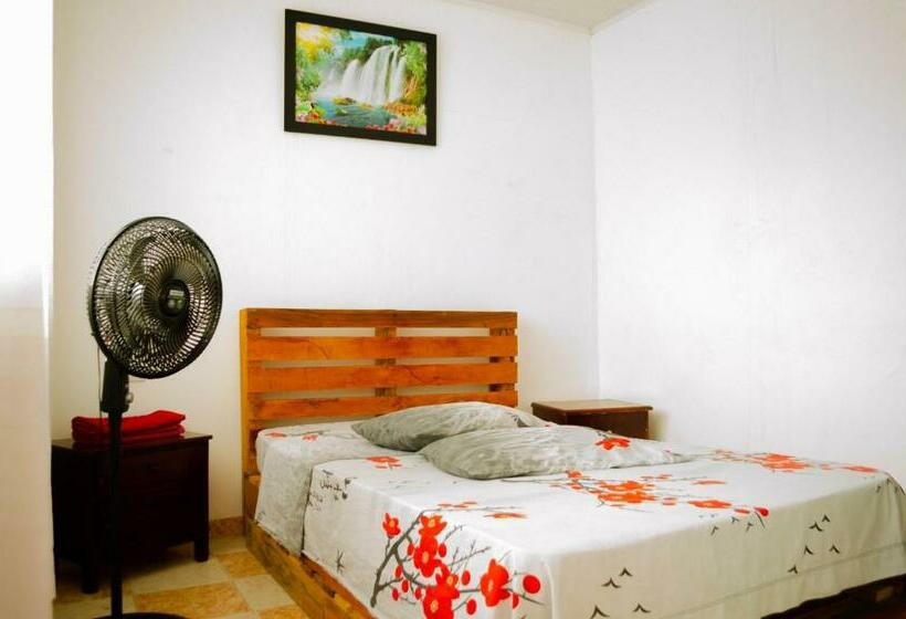 Номер Стандарт, Abacoa