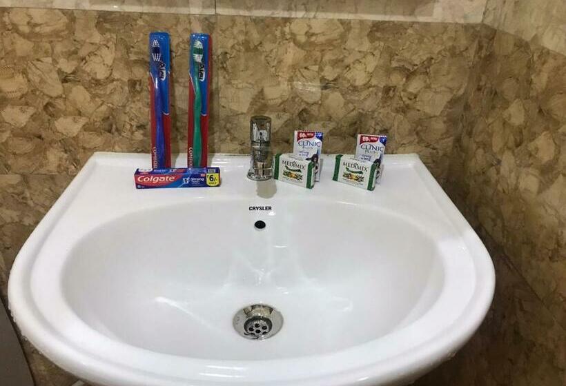 Номер Deluxe, Sviksha Inn