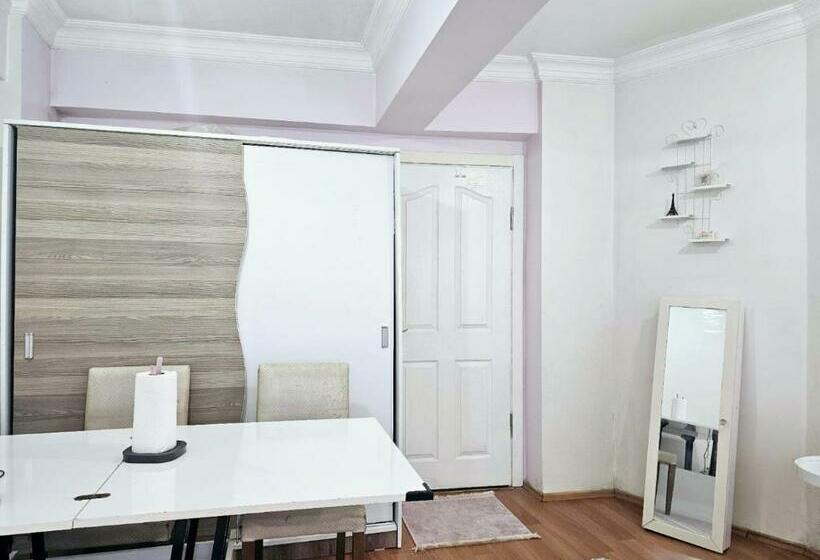 标准间, Clover Flower House Only For Females Zeyti̇nburnu
