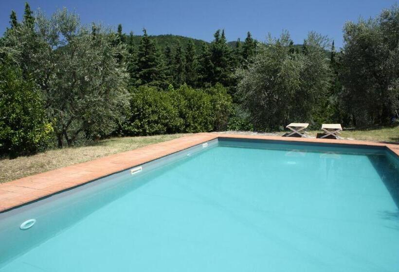 １ベッドルームアパートメント, Castello Di Mugnana