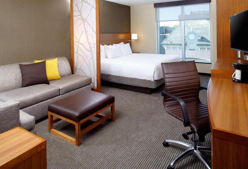 Номер Стандарт Кровать Кинг Адаптированный для Инвалидов, Hyatt Place Cleveland/lyndhurst/legacy Village