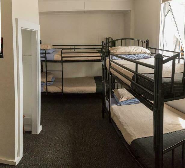 공동 객실, Downtown Backpackers & Accommodation