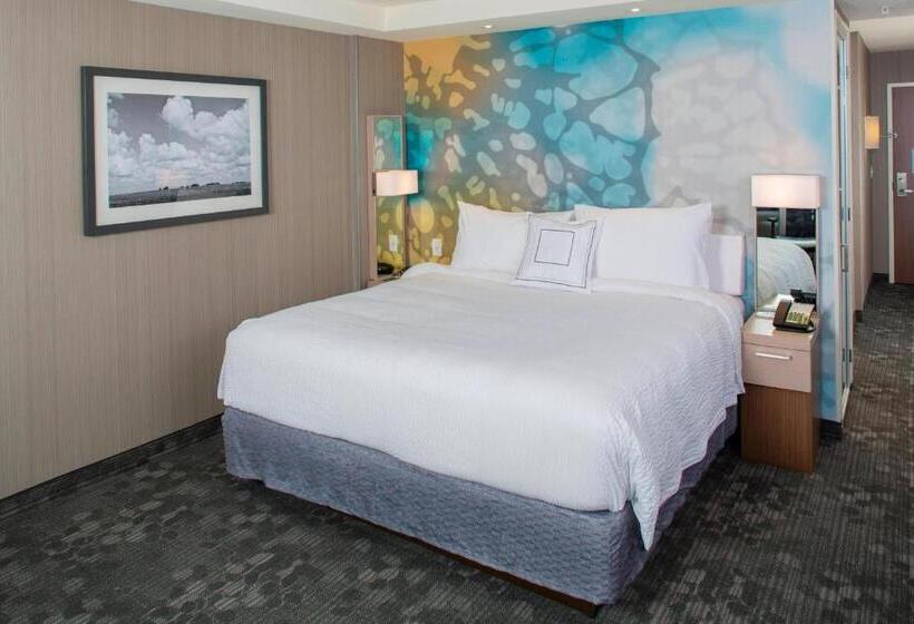 스탠다드 룸 킹사이즈 침대, Courtyard By Marriott Dallas Midlothian At Midlothian Conference Center