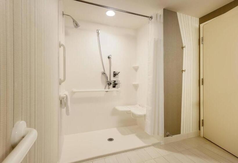 이그제큐티브 룸, Courtyard By Marriott Dallas Midlothian At Midlothian Conference Center