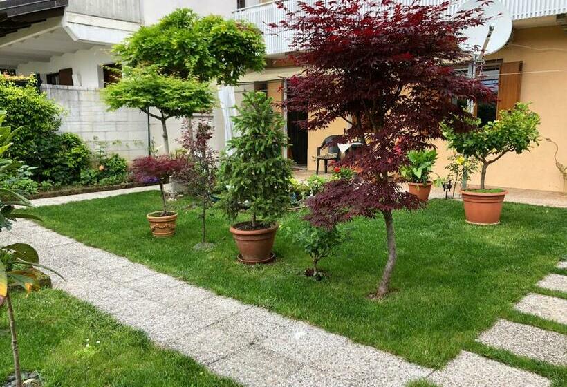 スタンダードルーム, Sensory Garden