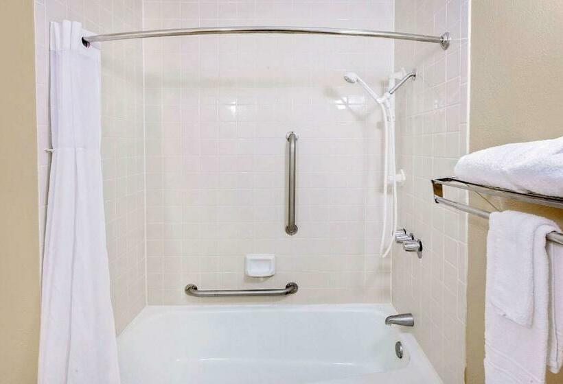 Стандартный Номер Кровать Кинг, Days Inn By Wyndham Bay City