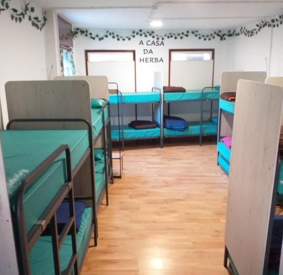 Семейный Номер, A Casa Da Herba
