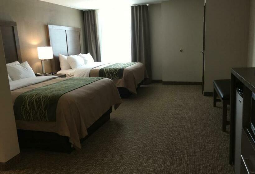 Стандартный Номер Кровать Кинг, Comfort Inn & Suites Snyder