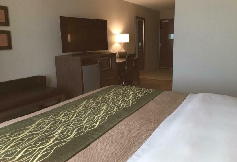 Стандартный Номер Кровать Кинг, Comfort Inn & Suites Snyder