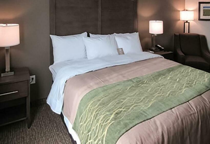 Стандартный Номер Кровать Кинг, Comfort Inn & Suites Snyder