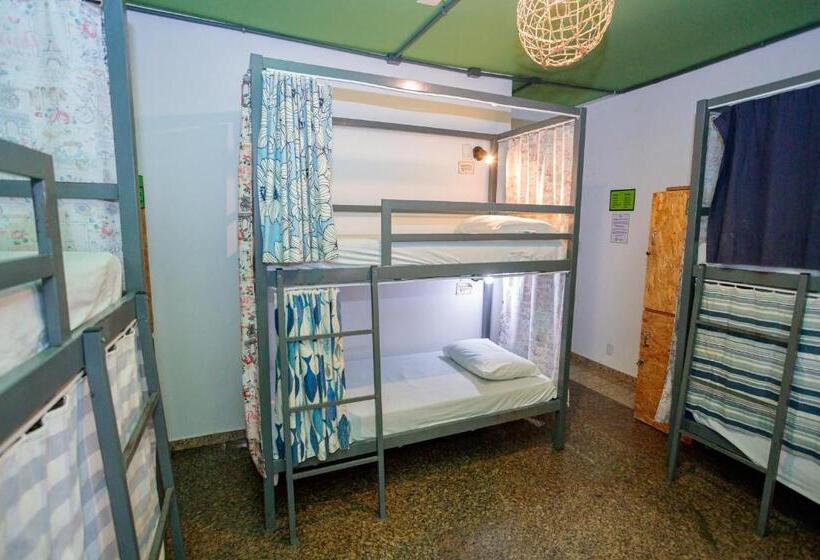 공동 객실, Local Hostel Manaus