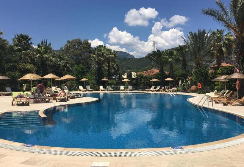 Standard Room Pool View, Asur Hotel & Aparts & Villas