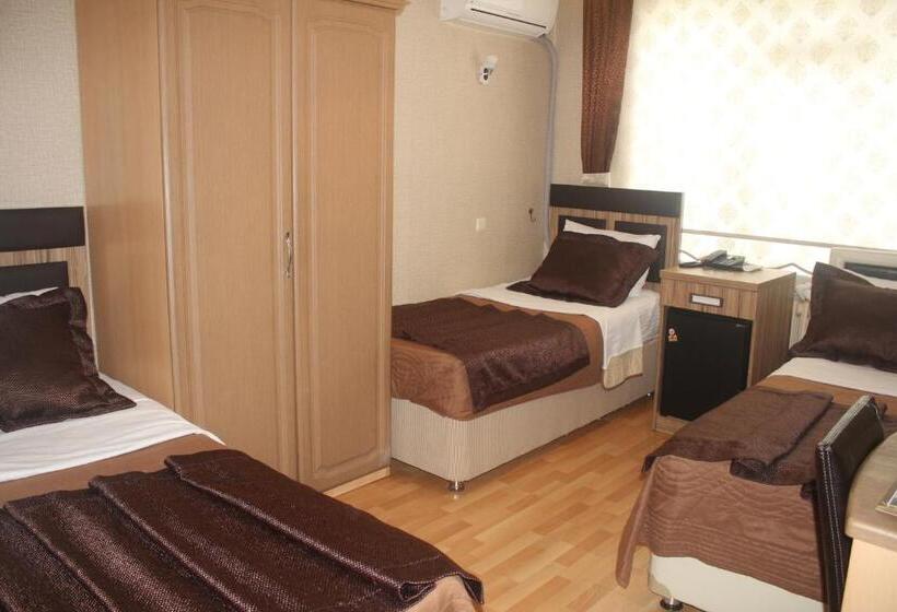 اتاق استاندارد سه نفره, Aydogan