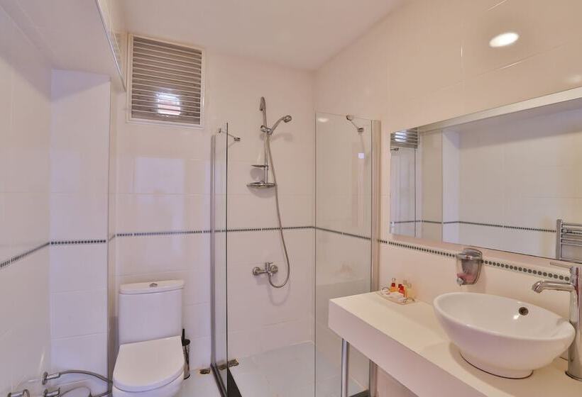 اتاق استاندارد, Mints Hotel   Adult Only