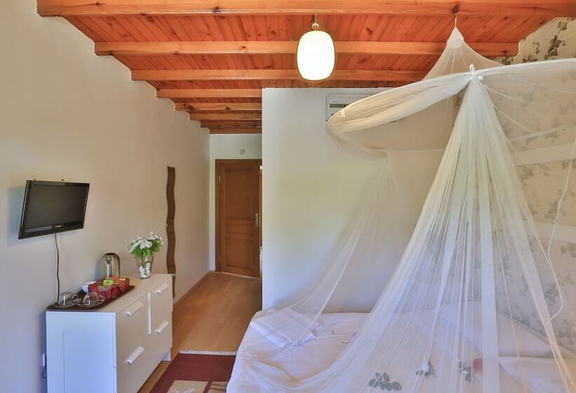 اتاق استاندارد, Mints Hotel   Adult Only