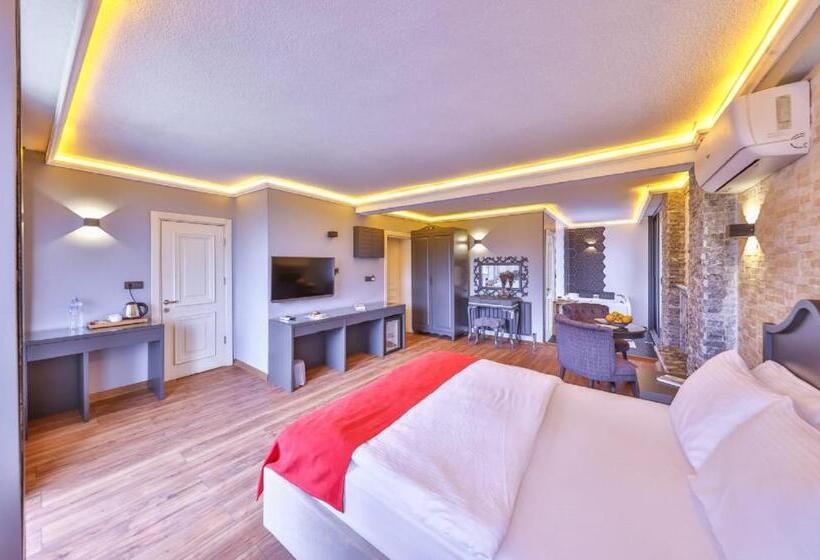 اتاق استاندارد, Mints Hotel   Adult Only