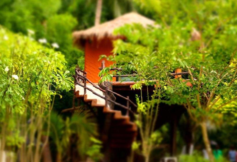 标准平房, Baan Pong Tara
