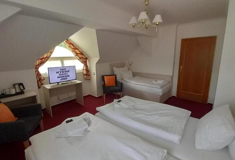 اتاق استاندارد سه نفره, Hradec