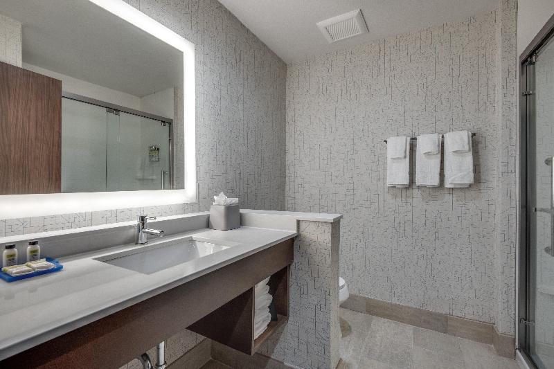 Suite Łóżko King Size, Holiday Inn Express & Suites Dallas North   Addison, An Ihg