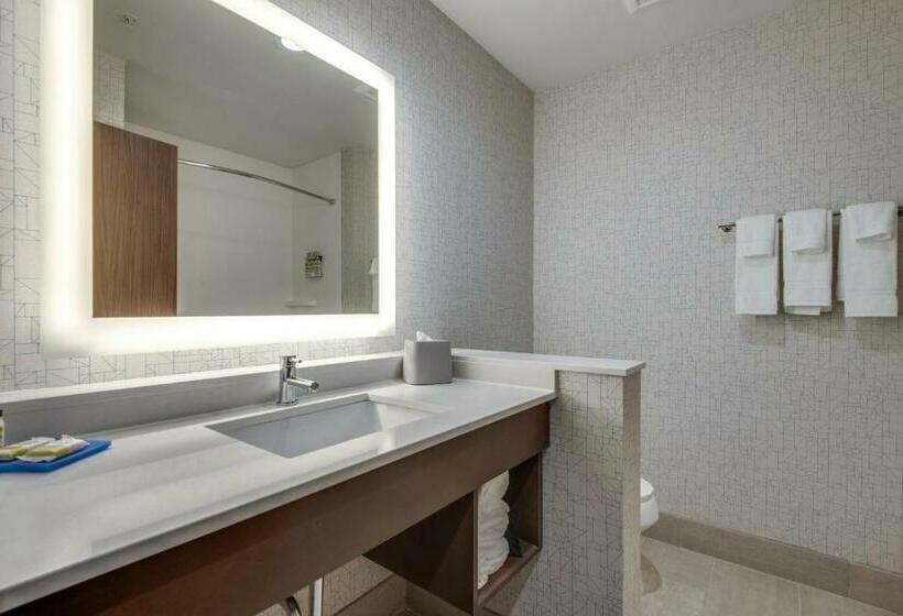 Suite Łóżko King Size, Holiday Inn Express & Suites Dallas North   Addison, An Ihg
