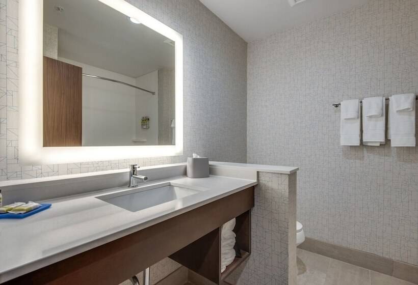 Pokój Standard, Holiday Inn Express & Suites Dallas North   Addison, An Ihg