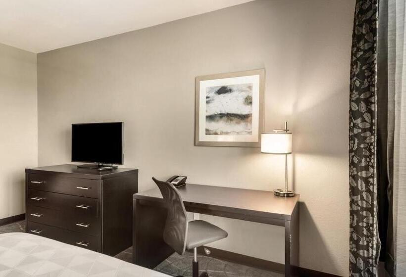 Люкс Адаптированный для Инвалидов, Holiday Inn Hotel & Suites Silicon Valley – Milpitas, An Ihg