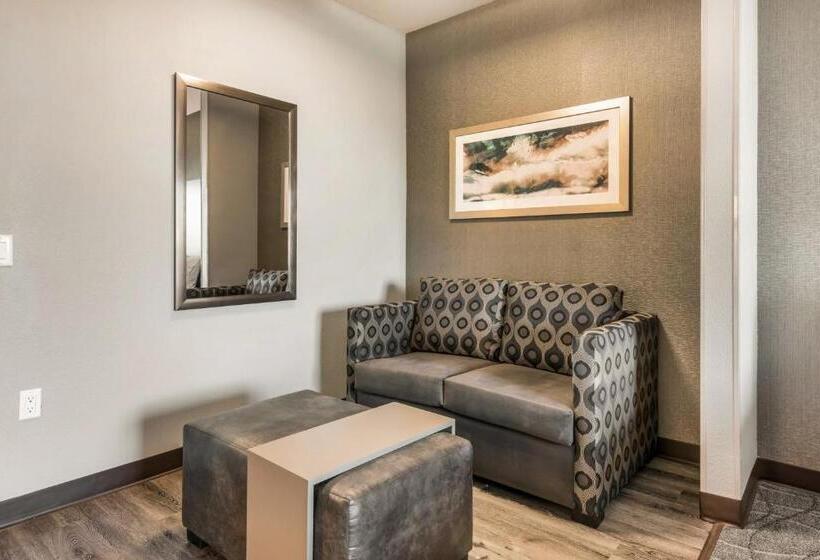 Номер Стандарт, Holiday Inn Hotel & Suites Silicon Valley – Milpitas, An Ihg