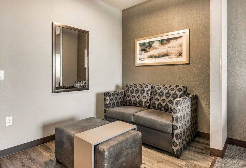 Люкс Адаптированный для Инвалидов, Holiday Inn Hotel & Suites Silicon Valley – Milpitas, An Ihg