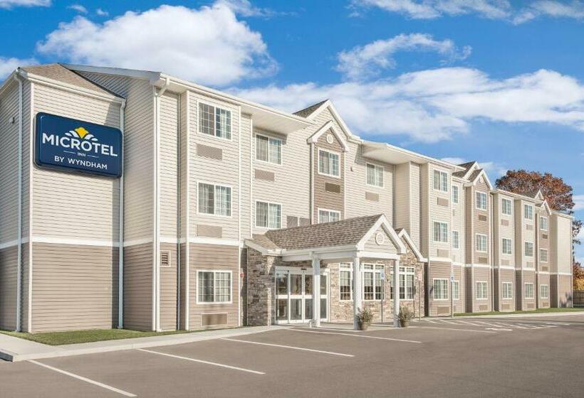 Номер Стандарт Кровать Квин Адаптированный для Инвалидов, Microtel Inn & Suites By Wyndham Binghamton