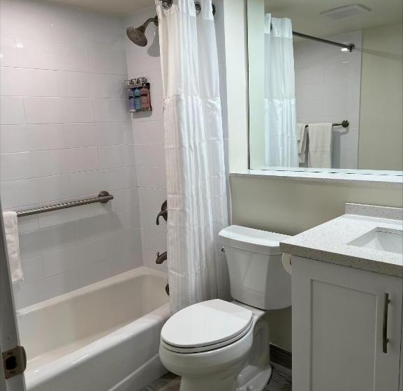 １ベッドルームアパートメント, Caloosa Cove Resort