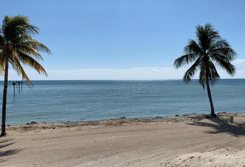 １ベッドルームアパートメント, Caloosa Cove Resort