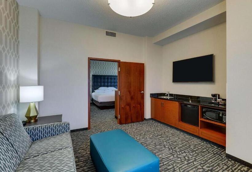 מיטת קינג בסוויטה, Drury Plaza Hotel Dallas Arlington