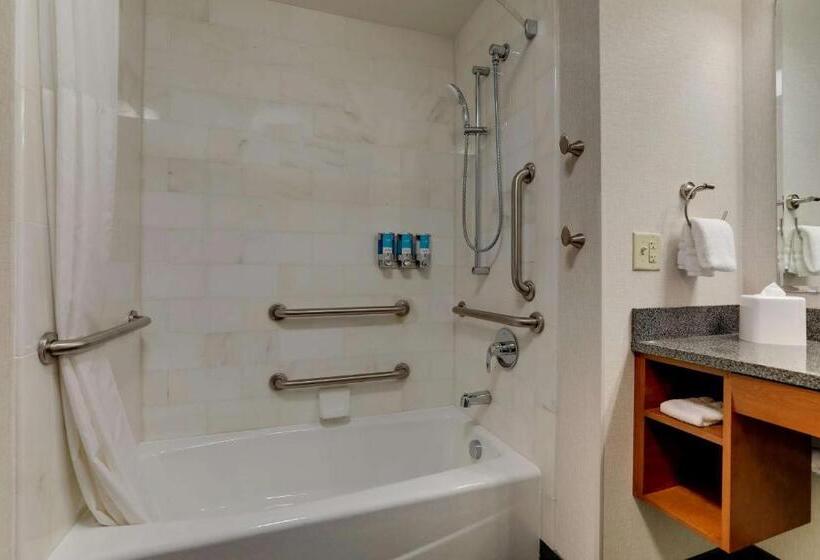 חדר דלוקס מיטת קווין, Drury Plaza Hotel Dallas Arlington