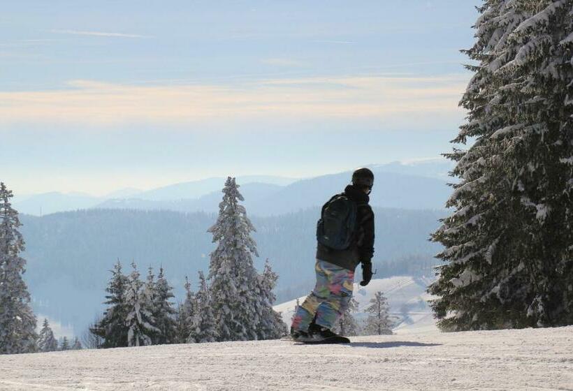 Апартаменты 1 Спальня, Pension Glöcklehof