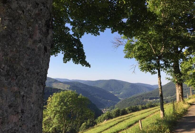 Апартаменты 1 Спальня с Балконом, Pension Glöcklehof