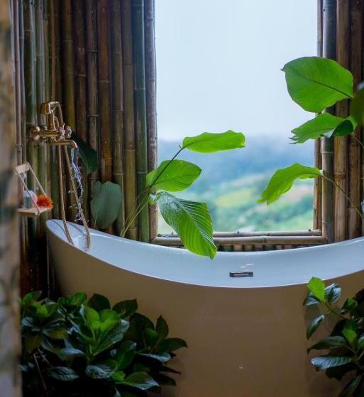 اتاق لوکس, Paopao Orange Farm And Home Stay