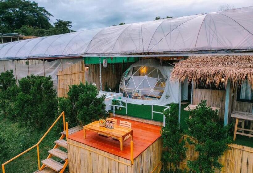 اتاق استاندارد, Paopao Orange Farm And Home Stay