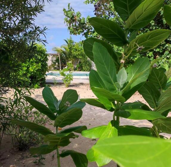 豪华园景房, Secret Place Hotel By Hello Tanzania Tours& Safaris