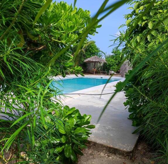 디럭스 룸 가든 전망, Secret Place Hotel By Hello Tanzania Tours& Safaris