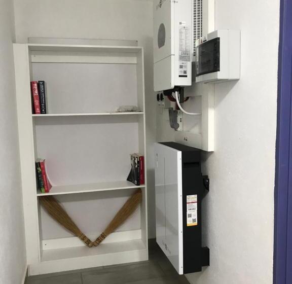 Номер Стандарт, The Affectionate One
