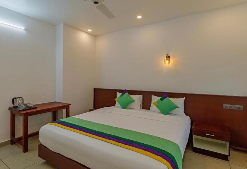 اتاق سوپریور, Treebo Amigos Residency